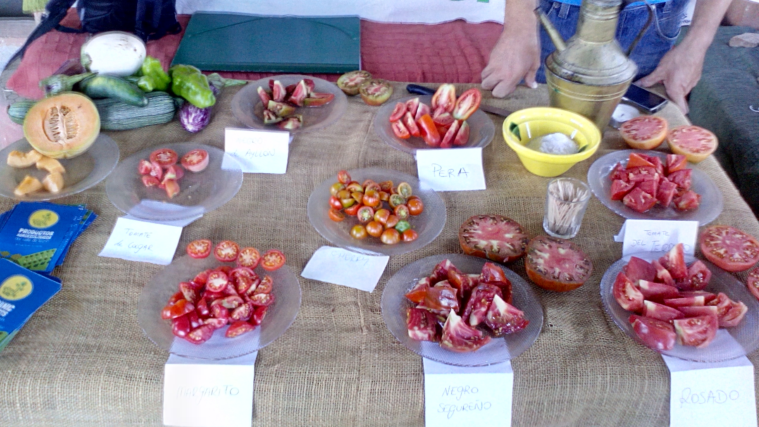 Cata de variedades locales de tomate