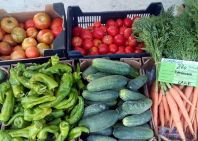Verduras de verano de producción propia: pimiento verde, tomate, pepino..... al rico gazpacho