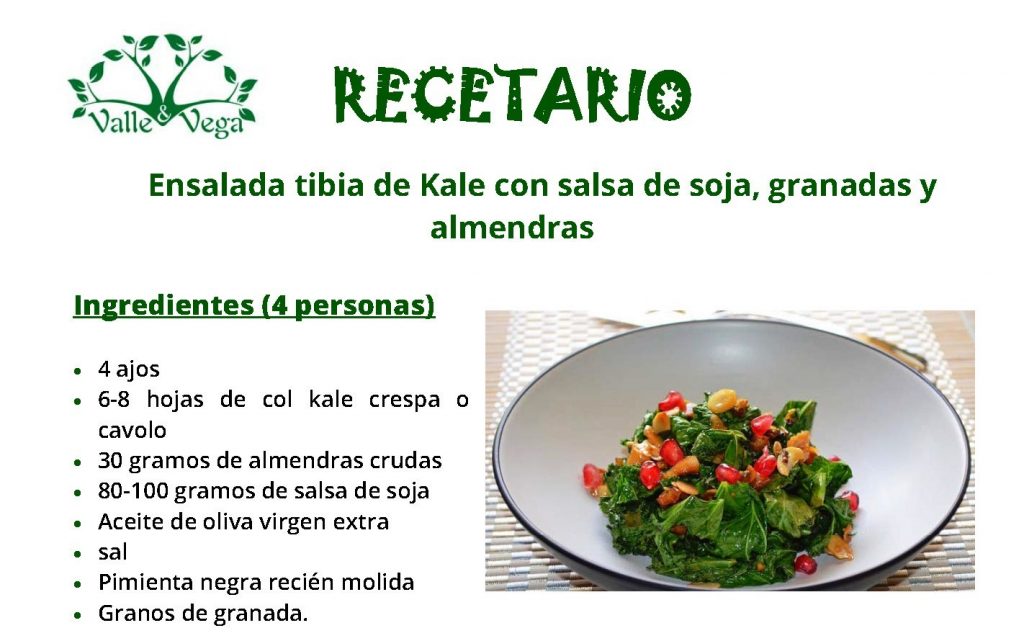 Recetario Valle y Vega. Ensalada tibia con kale, slasa de soja, granadas y almendras CABECERA