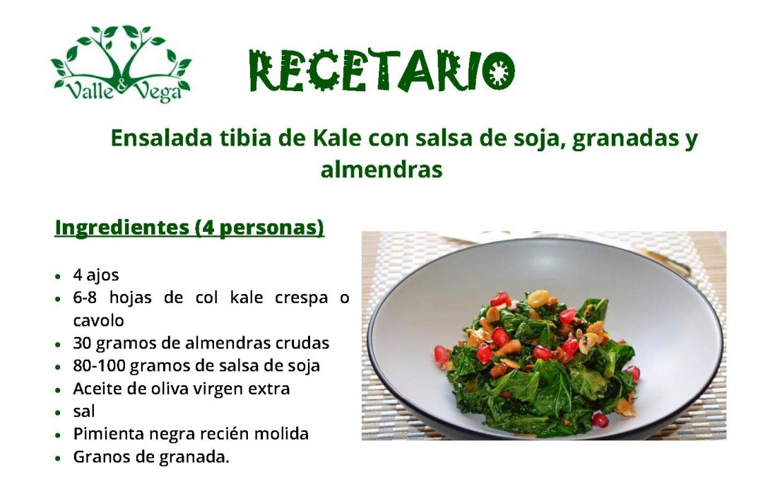 Recetario Valle y Vega. Ensalada tibia con kale, salsa de soja, granadas y almendras