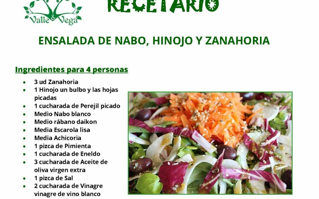 Recetario Valle y Vega. Ensalada de nabo, hinojo y zanahoria ecológica 🥗🍴