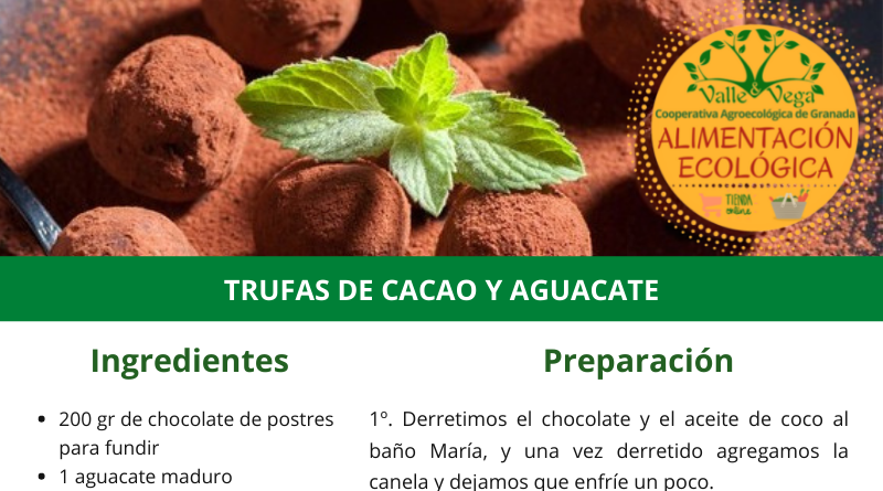 Recetario Valle y Vega. Trufas de cacao y aguacate 🍫🥑