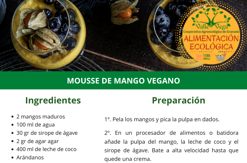 Recetario Valle y Vega. Mousse de mango vegano 💛