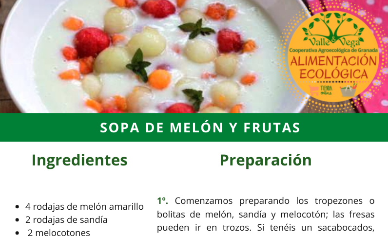 Recetas Valle y Vega. Sopa de melón amarillo y frutas ecológicas 🍈🍉🍑🍓
