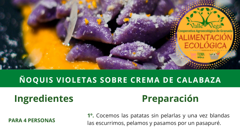 Recetario Valle y Vega. Ñoquis violetas sobre crema de calabaza 💜🧡