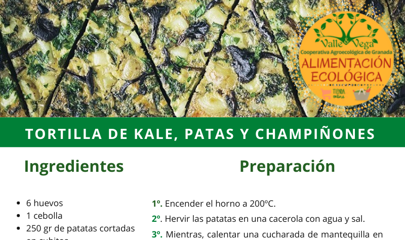 Recetario Valle y Vega. Tortilla de kale, patatas y champiñón 💛
