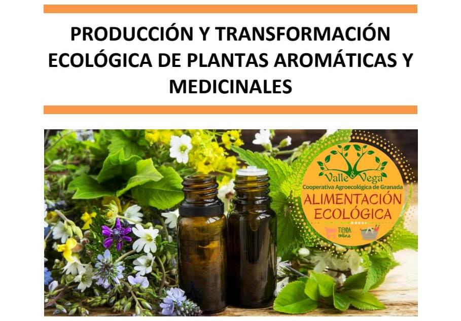Itinerario formativo: Producción y transformación ecológica de plantas aromáticas y medicinales. 🌻🌺🌼🌷