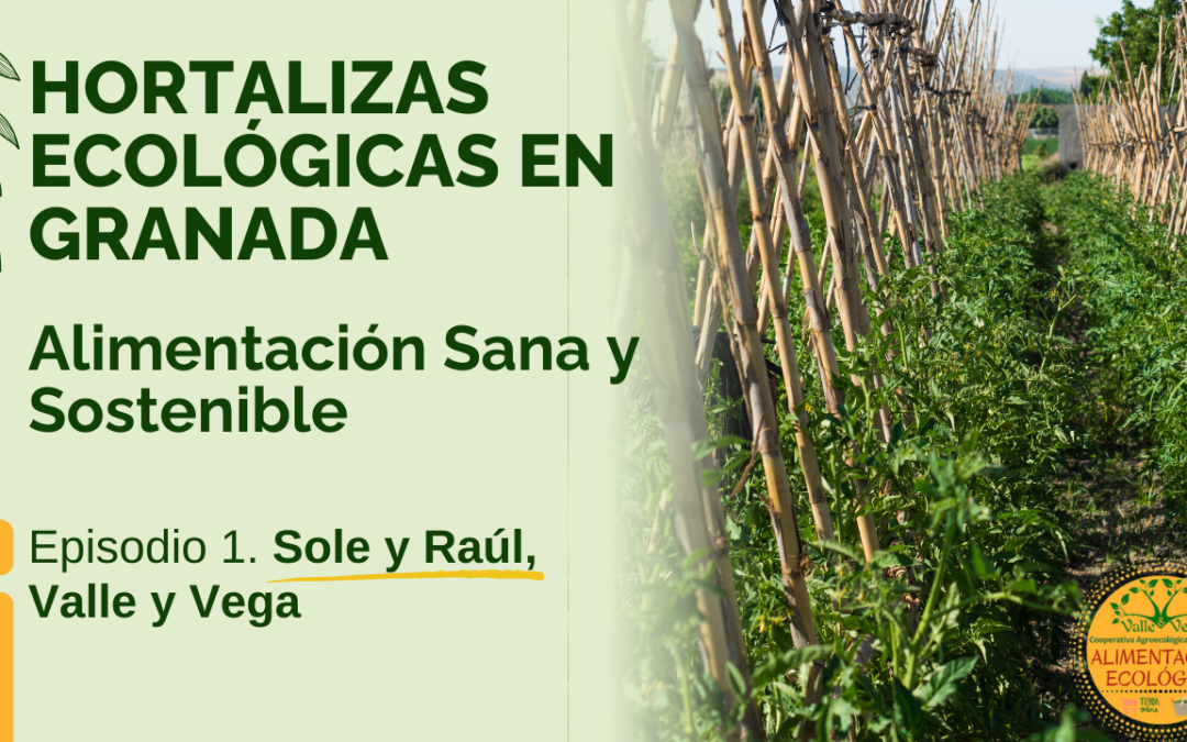 Hortalizas Ecológicas en Granada: Alimentación Sana y Sostenible | Sole y Raúl, Valle y Vega (Ep. 1)