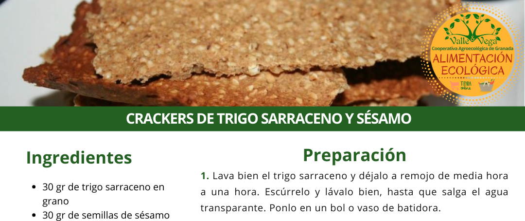 Recetario Valle y Vega. Crackers de trigo sarraceno y sésamo