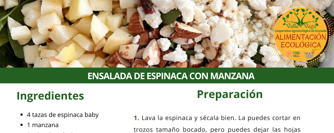 Recetario Valle y Vega. Ensalada ecológica de espinaca con manzana 🥬🍏