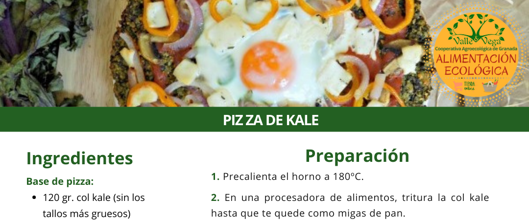 Recetario Valle y Vega. Pizza de kale 💚