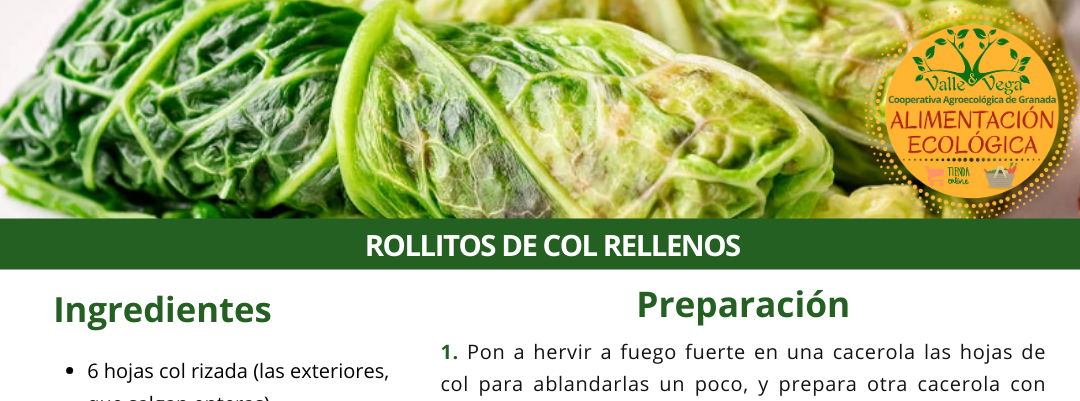 Recetario Valle y Vega. Rollitos de col rellenos 💚