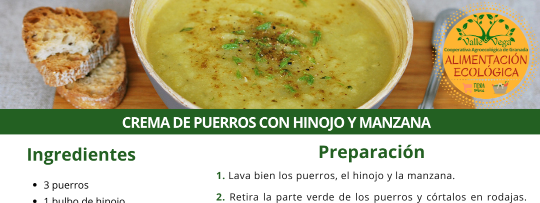 Recetas Valle y Vega. Crema de puerros con hinojo y manzana ecológica 🍵