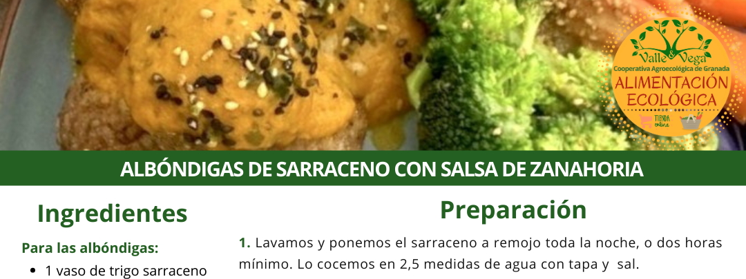 Recetario Valle y Vega. Albóndigas de sarraceno con salsa de zanahoria 😋