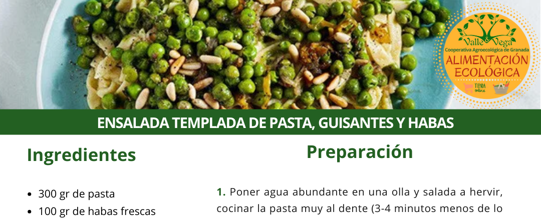 Recetario Valle y Vega. Ensalada templada de pasta, guisantes y habas 😍