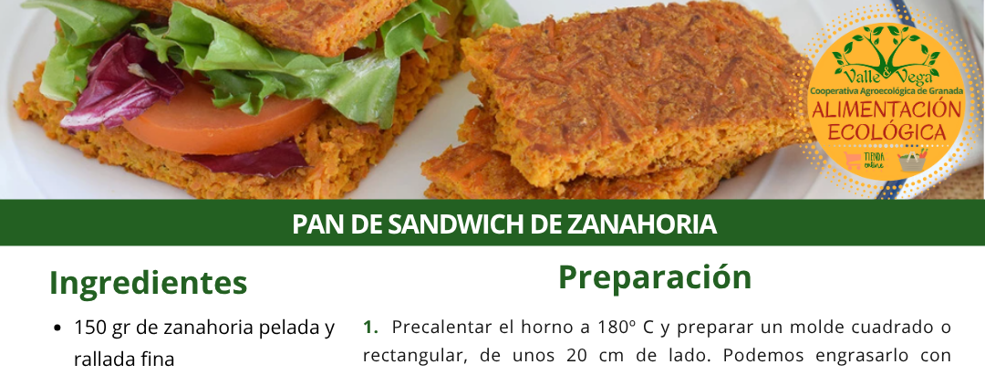 Recetario Valle y Vega. Pan de sándwich de zanahoria 🥕🥕