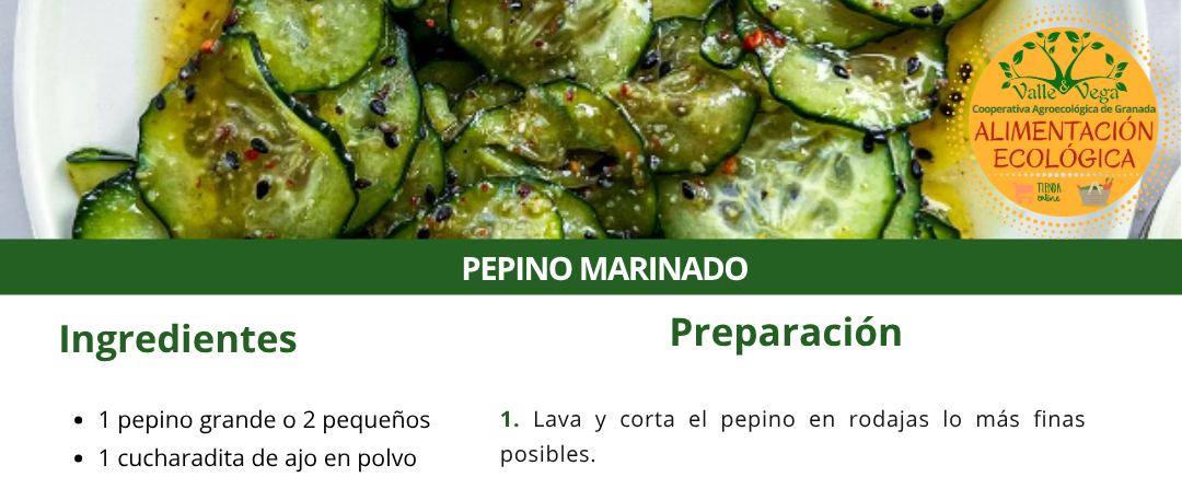 Recetario Valle y Vega. Pepino marinado 🥒💚