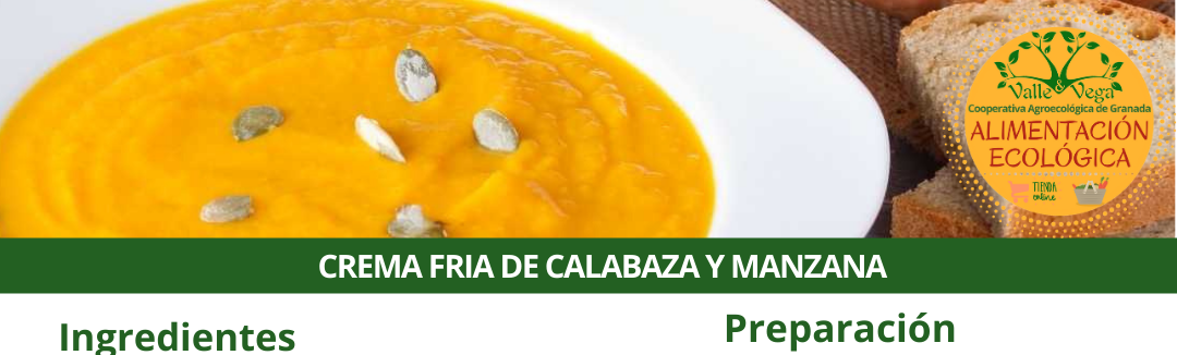 Recetas Valle y Vega. Crema fría de calabaza y manzana ecológica 🍎🧡