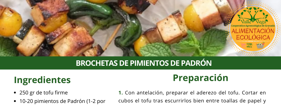 Recetario Valle y Vega. Brochetas de Pimiento de Padrón 😋