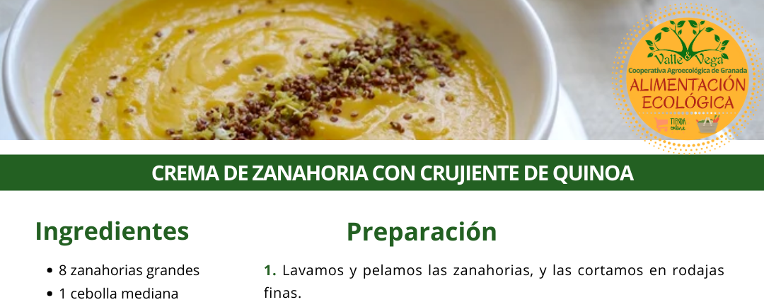 Recetario Valle y Vega. Crema de zanahoria con crujiente de quinoa 🥕🥕