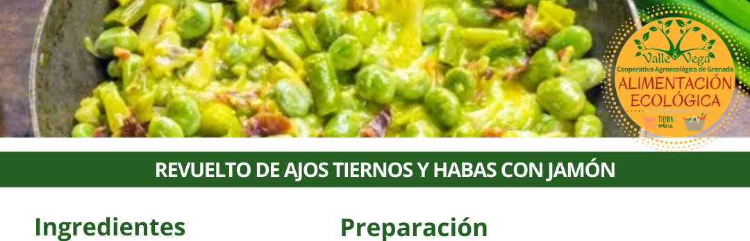 Recetario Valle y Vega. Revuelto de ajos tiernos y habas con jamón 🌱