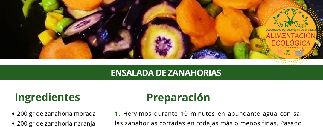 Recetario Valle y Vega. Ensalada de zanahorias 🧡💜