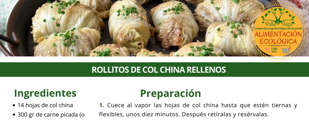 Recetario Valle y Vega.  Rollitos de col china rellenos 🥰