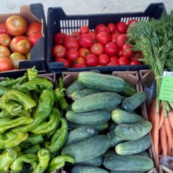 Verduras de verano de producción propia: pimiento verde, tomate, pepino..... al rico gazpacho